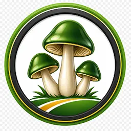 Magic Mushroom Delivery